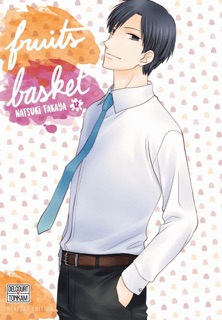 Fruits Basket Perfect T12 by Natsuki Takaya