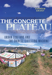 The Concrete Plateau by Andrew Grant