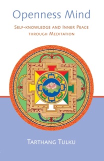 Openness Mind: Self-Knowledge and Inner Peace through Meditation by Tarthang Tulku