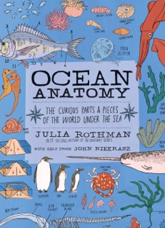 Ocean Anatomy by Julia Rothman & John Niekrasz