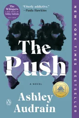 The Push by Ashley Audrain book