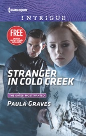 Stranger in Cold Creek - Paula Graves