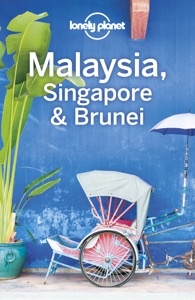 Singapore & Brunei 15 Book Cover