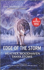 Edge of the Storm - Heather Woodhaven & Tanya Stowe