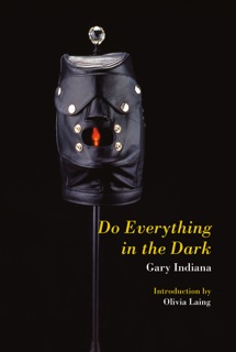 Do Everything in the Dark by Gary Indiana & Olivia Laing