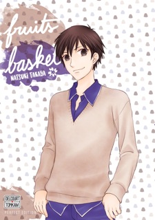 Fruits Basket Perfect T10 by Natsuki Takaya