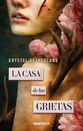 Read: La casa de Book las grietas