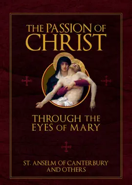 Read: The Passion of Christ Through the Eyes Book of Mary
