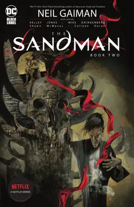 Read: Book The Sandman Book Two