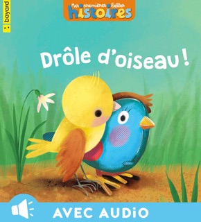 Drôle d'oiseau by Jo Hoestlandt & Sebastien Braun