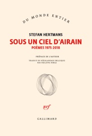 Sous un ciel d’airain - Stefan Hertmans