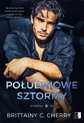 Południowe sztormy