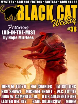 Read: Book Black Cat Weekly #38