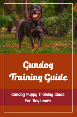Gundog Training Guide: Gundog Puppy Training Guide For Beginners