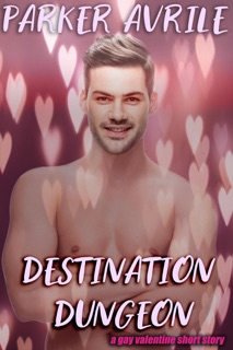 Destination Dungeon: A Gay Valentine Short Story by Parker Avrile