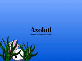 Axolotl by Kai