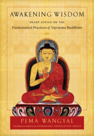 Awakening Wisdom - Pema Wangyal & Padmakara Translation Group