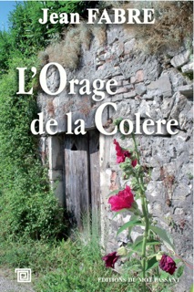 L'Orage de la Colère by Jean Fabre