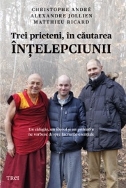 Trei prieteni in cautarea intelepciunii - Christophe André
