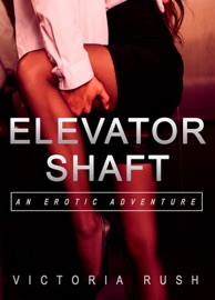 Elevator Shaft: An Erotic Adventure