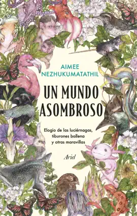 Un mundo asombroso