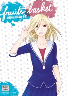 Fruits Basket Perfect T09 by Natsuki Takaya