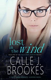 Lost in the Wind by Calle J. Brookes