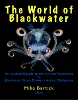 The World of Blackwater