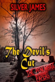 The Devil's Cut - Silver James