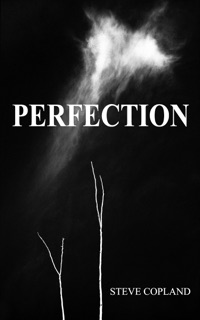 Perfection by Steve Copland