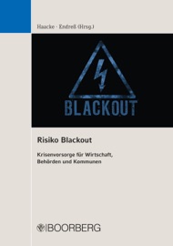 Risiko Blackout - Florian Haacke & Christian Endres