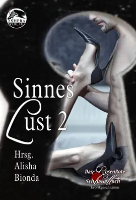 Read: Book Sinneslust 2