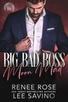 Big Bad Boss book cover