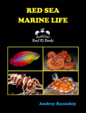 Book cover for Red Sea Marine Life by Andrey Ryanskiy