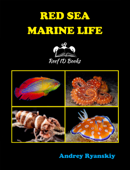 Red Sea Marine Life - Andrey Ryanskiy