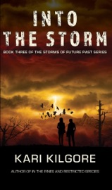 Into the Storm - Kari Kilgore