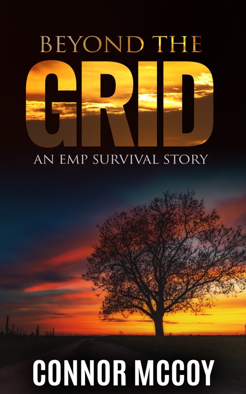Beyond The Grid
