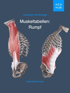 Rumpf: Muskeltabellen