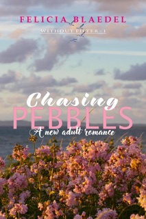 Chasing Pebbles by Felicia Blaedel