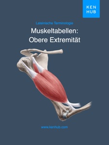 Obere Extremität: Muskeltabellen