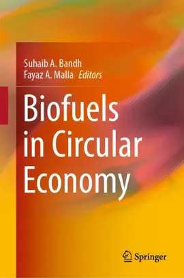 Read: Book Biofuels in Circular Economy