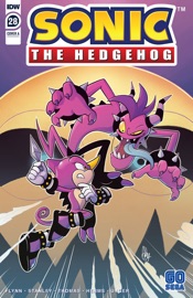 Sonic the Hedgehog #28 - Ian Flynn & Evan Stanley