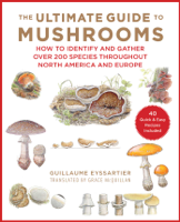Guillaume Eyssartier, Julien Norwood & Grace McQuillan - The Ultimate Guide to Mushrooms artwork