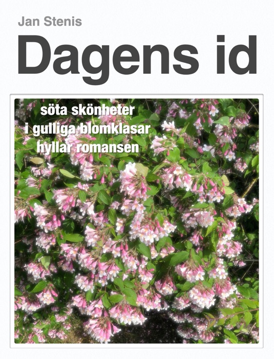 Dagens id