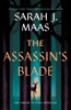 Book The Assassin's Blade