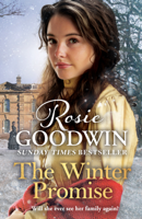 Rosie Goodwin - The Winter Promise artwork