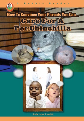 Care for a Pet Chinchilla