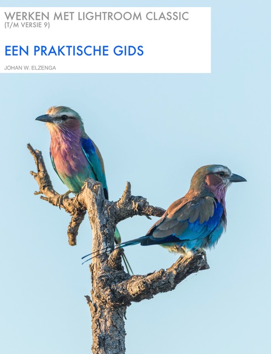 Werken met Lightroom Classic