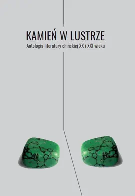 Read: Kamień w lustrze Book