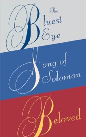 Toni Morrison Box Set - Toni Morrison